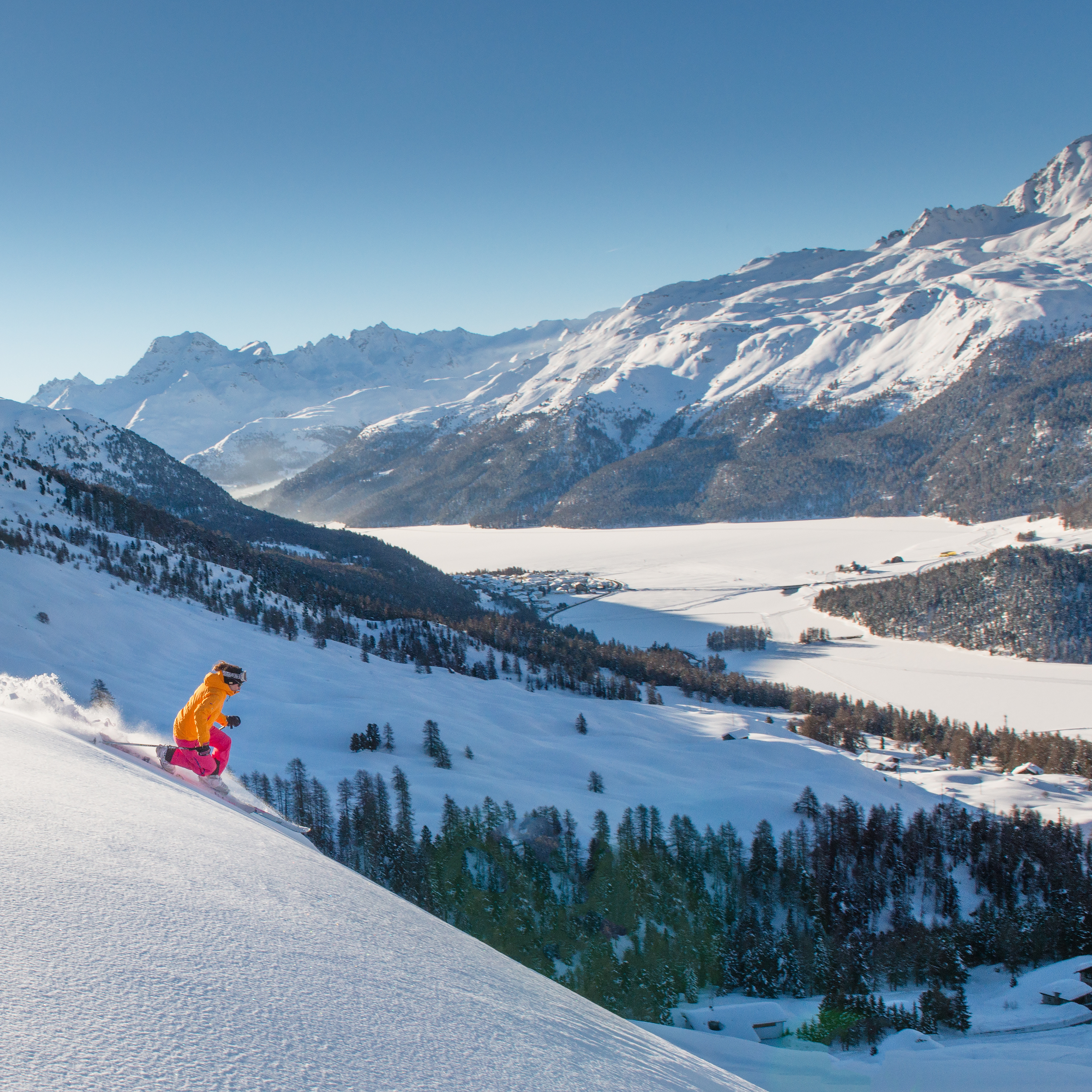 Telemark wintersport