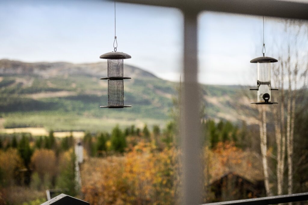 Property Trysil for sale Portula Norway2