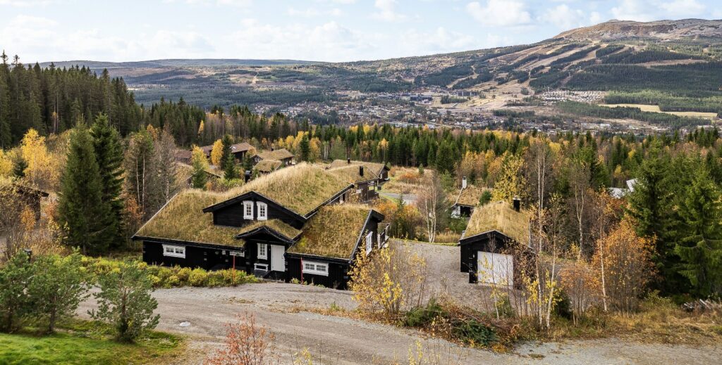 For sale: Characteristic cabin in prime location in Trysil