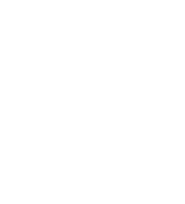 Portula Logo