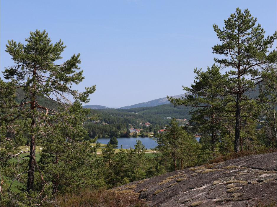 Uitzicht Orreleikåsen